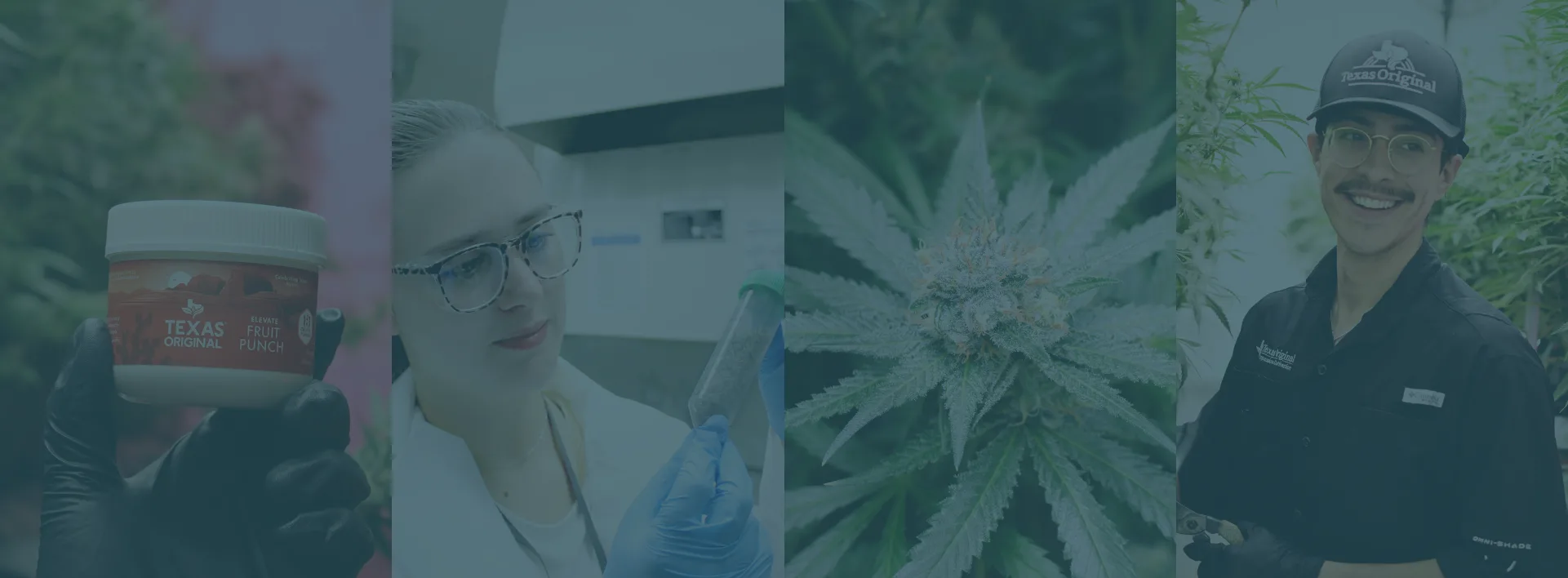 Texas Original medical marijuana products serving registered patients across Texas