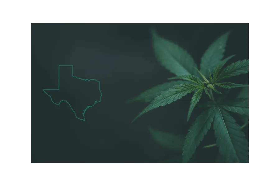 A Comprehensive Guide on Getting a Medical Marijuana Prescription in Texas