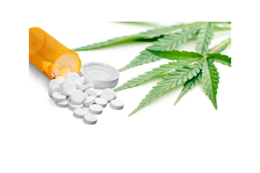 Medical Cannabis as a Safe Alternative to Opioids