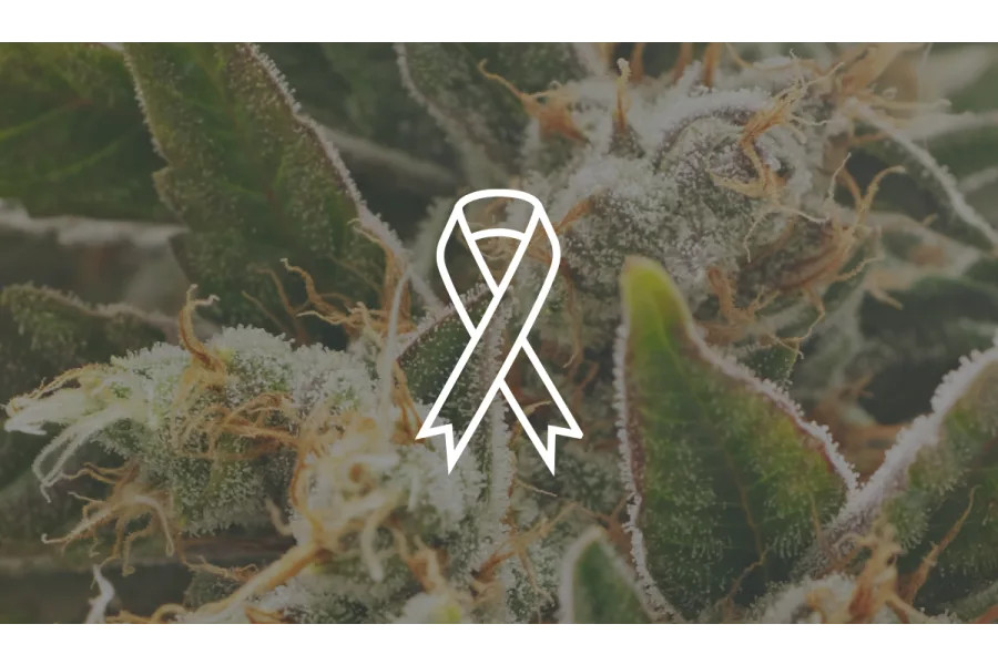 Medical Marijuana and Cancer: What You Need to Know