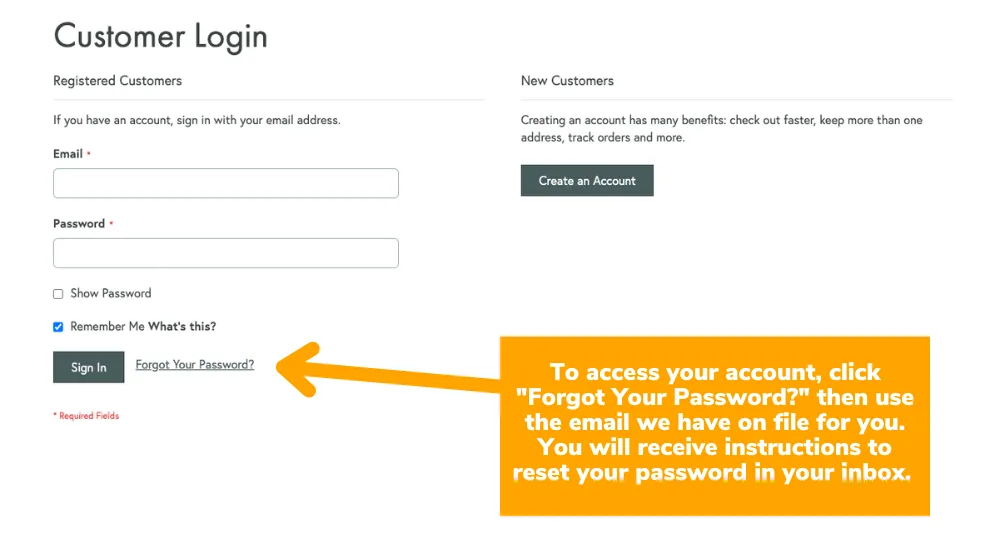Texas Original account password reset email instructions