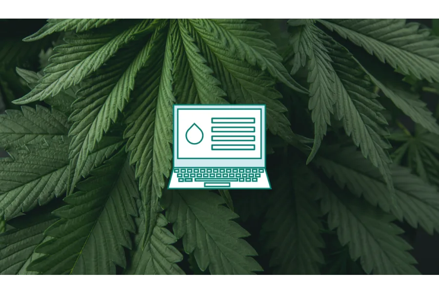 Patient Portal Updates