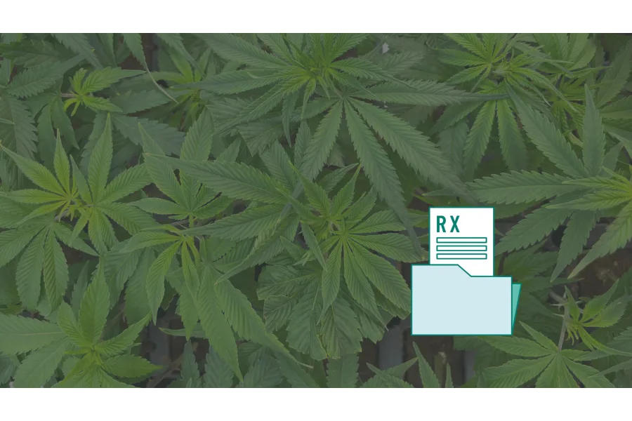 How to Refill Your Medical Marijuana Prescription