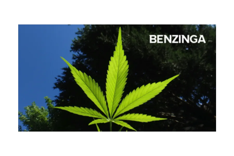 Texas Original Opens Drive-Thru Medical Cannabis Pickup Location in Waco, Texas