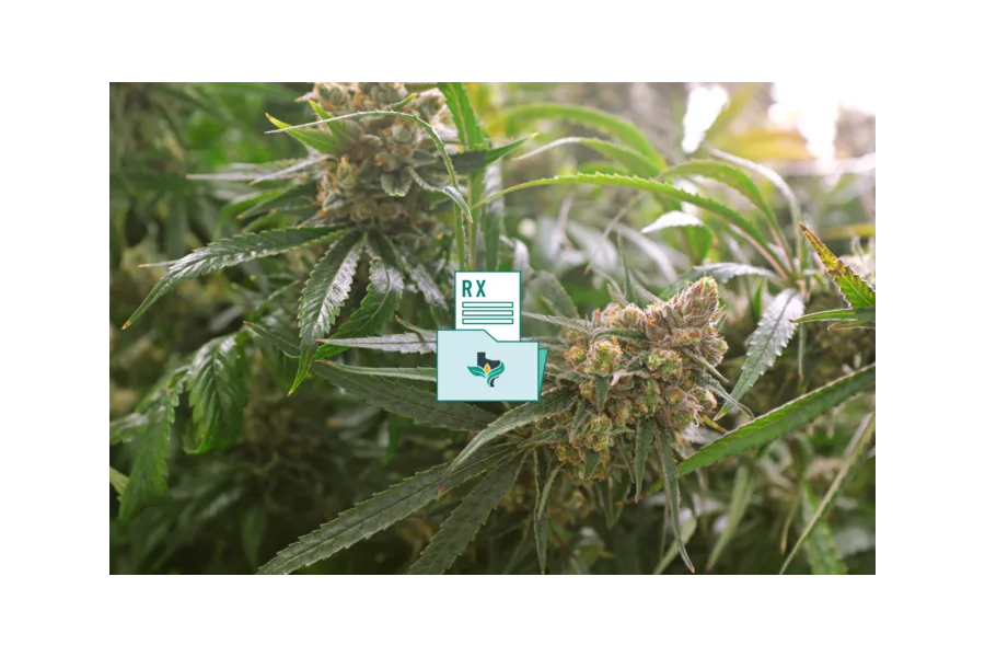 How to Get a Medical Cannabis Prescription in Texas