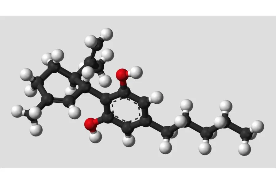 What Is CBD? Everything You Need to Know About Cannabidiol