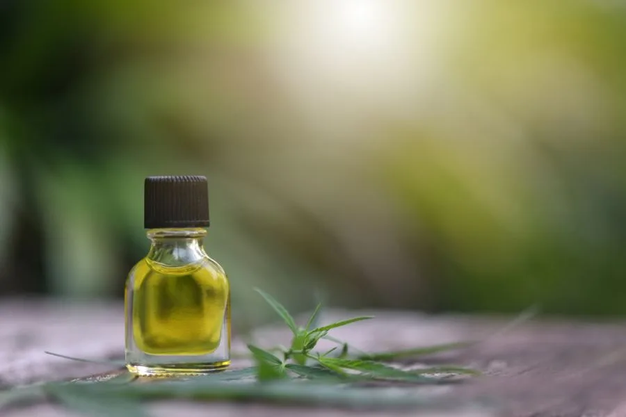 Wading Through the Hype to Discover CBD’s Healing Potential for Epileptic Seizures