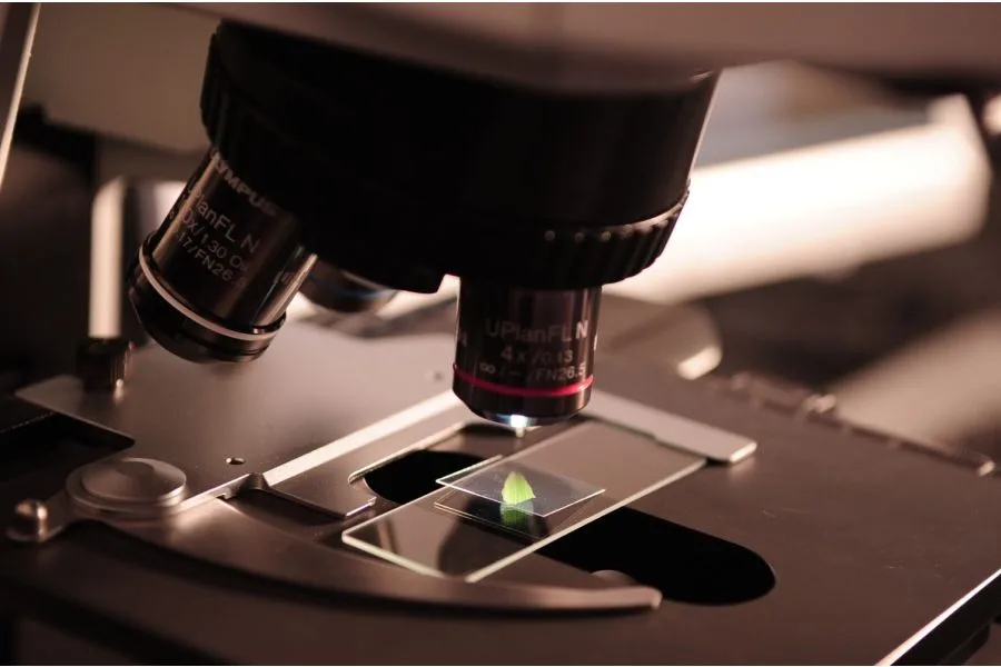 Science Says: What We Know About CBD and Epilepsy