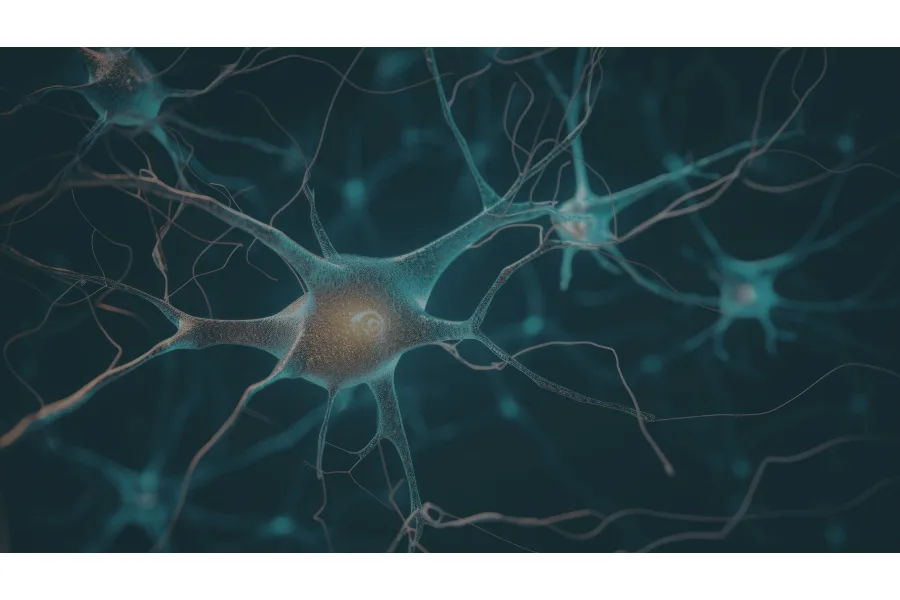 The Endocannabinoid System and Medical Cannabis