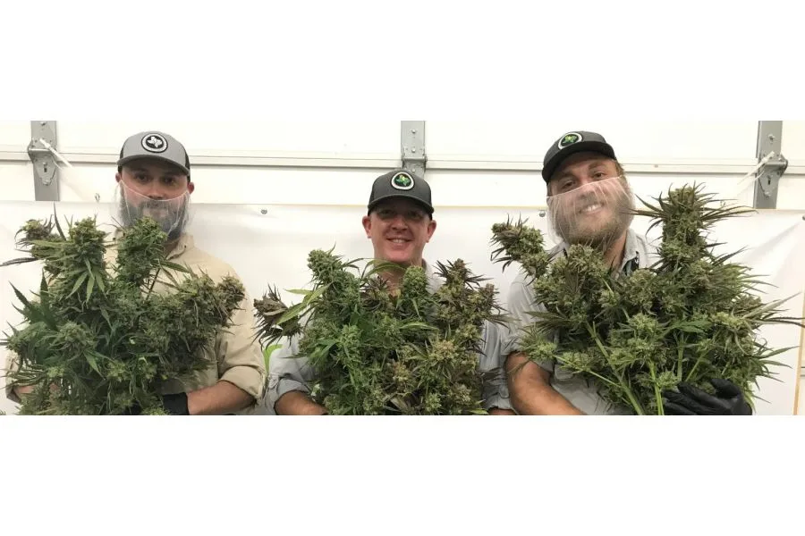 The Future of Cannabis Cultivation: Compassionate Cultivation’s Agronomy Expert Has Insider Insight