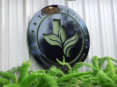 Graphic explaining HB 46 expansion of medical cannabis in Texas